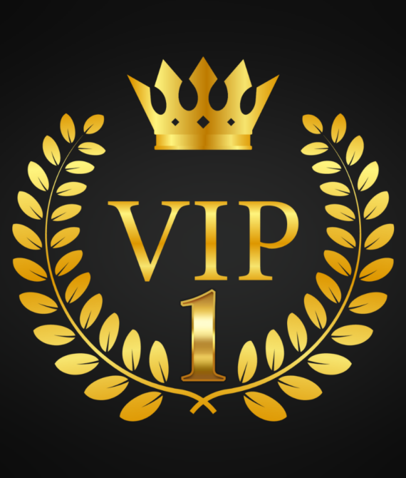 VIP Program 1