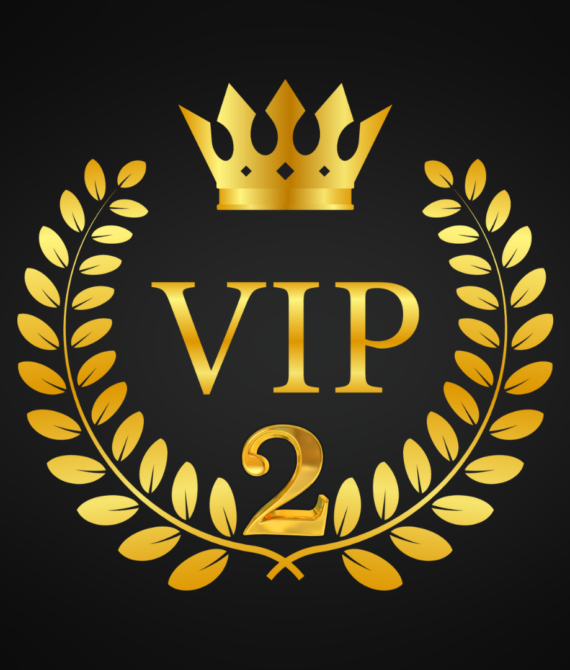 VIP Program 2