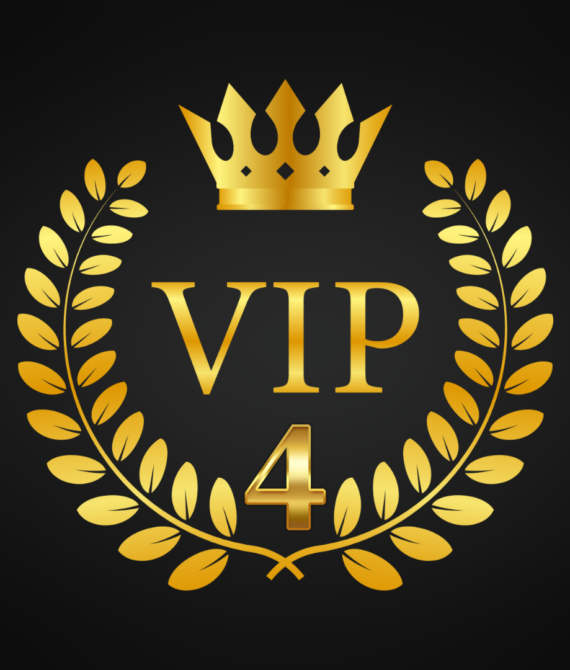 VIP Program 4